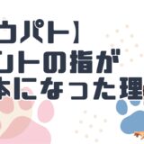 パウ・パトロールのケントの指はなぜ4本?他アニメも調査したら驚きの共通点を発見！